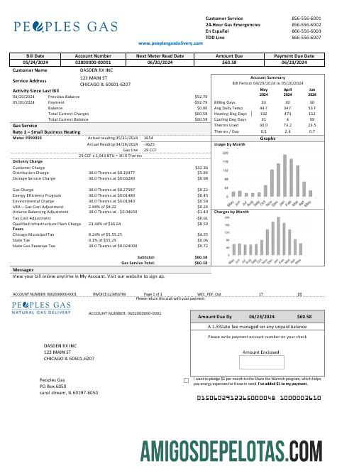 realista Modelo de conta de serviços públicos de gás dos EUA Illinois Peoples em formatos Word e PDF
